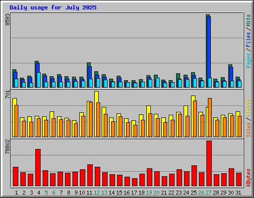 Daily usage for July 2025