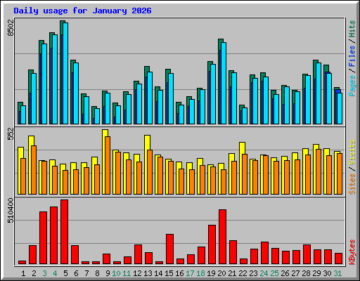 Daily usage for January 2026