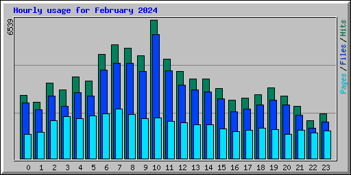 Hourly usage for February 2024