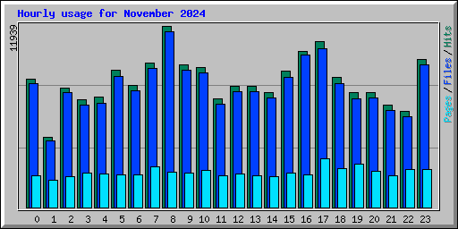 Hourly usage for November 2024