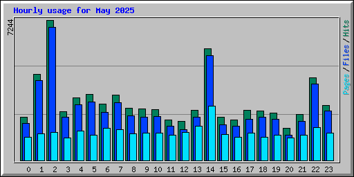 Hourly usage for May 2025
