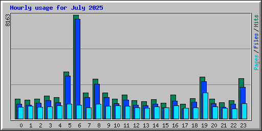 Hourly usage for July 2025