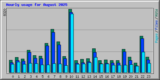 Hourly usage for August 2025