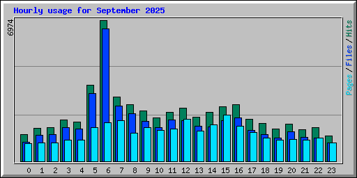 Hourly usage for September 2025