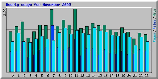 Hourly usage for November 2025