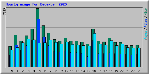 Hourly usage for December 2025