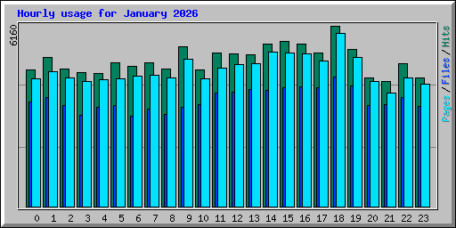 Hourly usage for January 2026