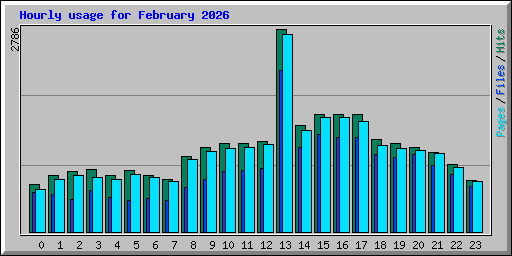 Hourly usage for February 2026