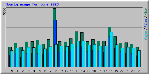 Hourly usage for June 2026
