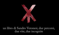 (Sandro Veronesi, XY, Fandango, Roma, 2010) a cura del Liceo classico Plauto, Roma